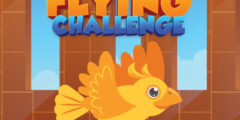 Flying Challenge